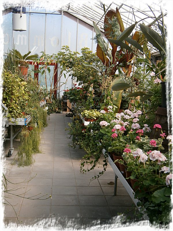 Växthuset